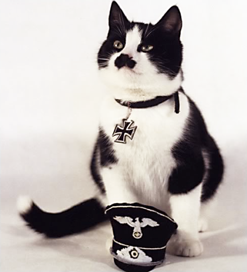 [Nazi Cat]
